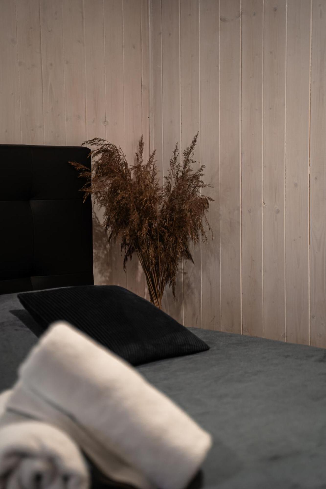 Aare Accommodation วาลกา ภายนอก รูปภาพ